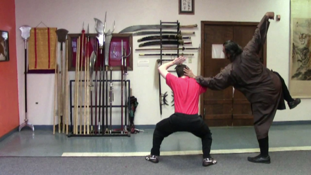 Northern Crane Boxing Black Mountain Spirit Kung Fu Pittsburgh