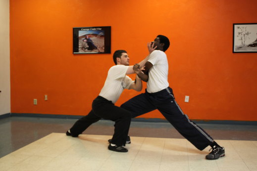 Traditional Northern Shaolin Press and Tiger Claw in Bow Stance Traditional Northern Shaolin Press and Tiger Claw in a right Bow Stance.