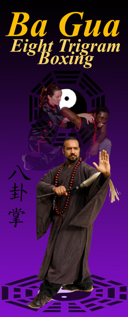 The Black Mountain Spirit BaGuaZhang Classes