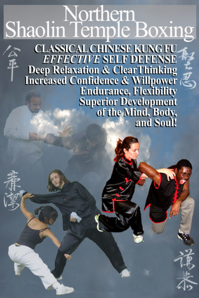Martial arts training session emphasizing discipline and strength.