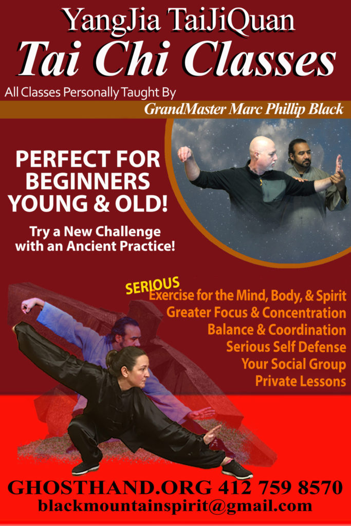 Martial arts training session emphasizing discipline and strength. TaiJjiQuan Tai Chi Chuan Martial Arts Pittsburgh Kung Fu Self Defense