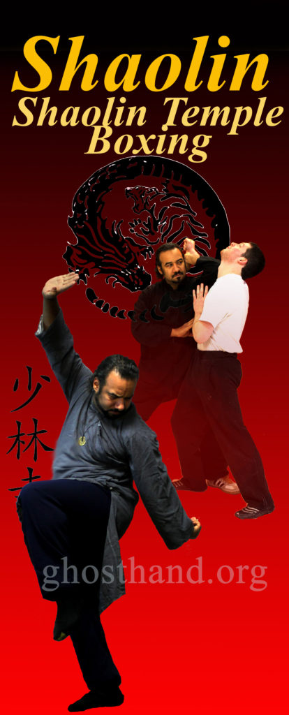 Martial arts practice focused on mastery and growth.
