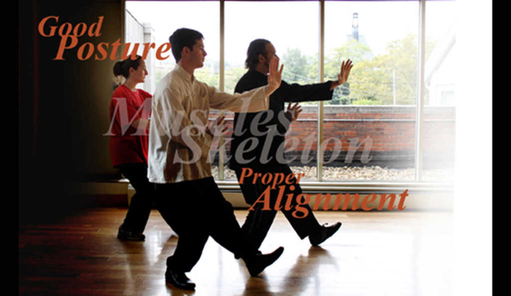 TaiJi (Tai Chi) Martial arts practice session focused on mastery and growth.