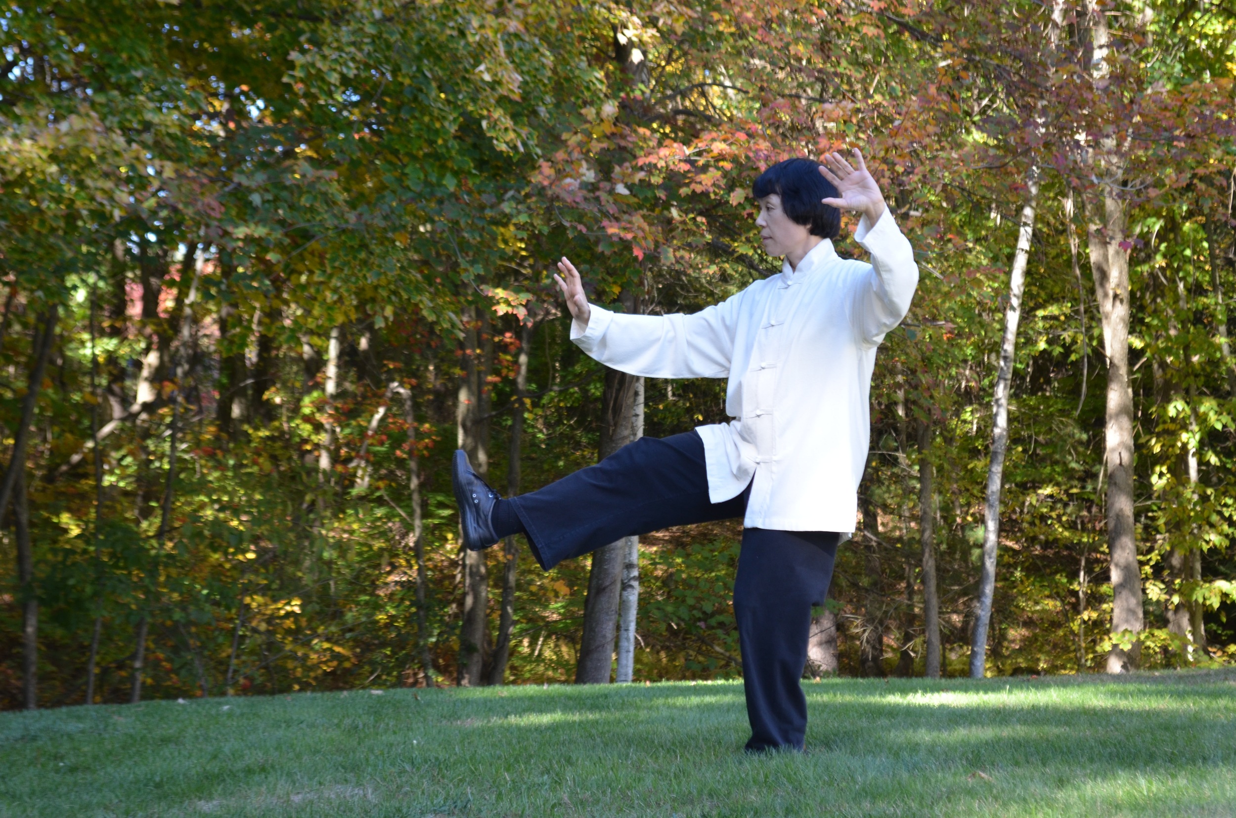 Senior Flexibility, Senior Exercise, Tai Chi - Traditional Martial Arts Practice for All Ages