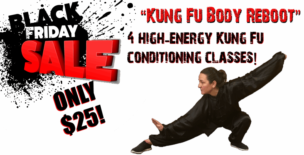 Adult Kung Fu Martial Arts Fitness Kickboxing Exercise